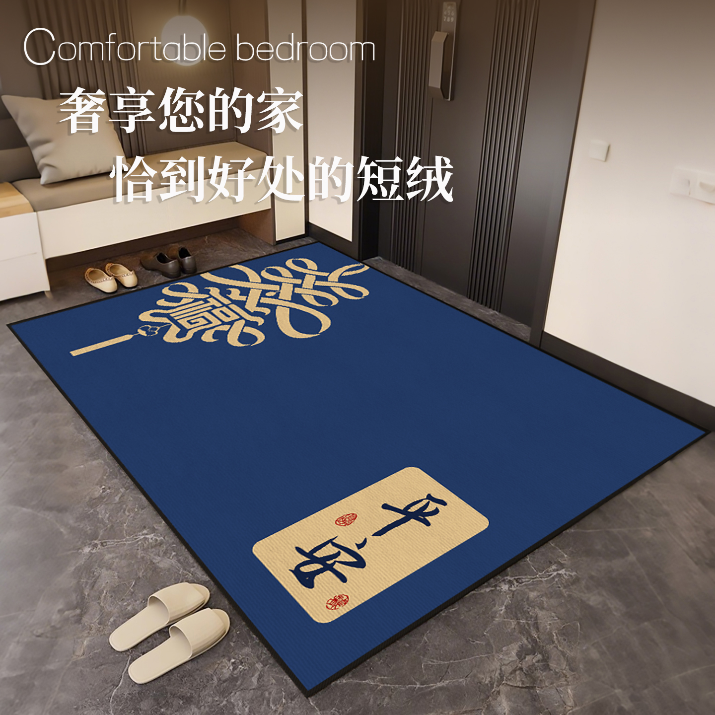 2025新款高级感入户门地毯
