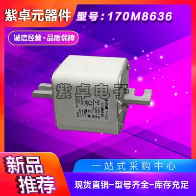 170M8609170M8610170M8611170M8612170M8613巴斯曼快速熔断器