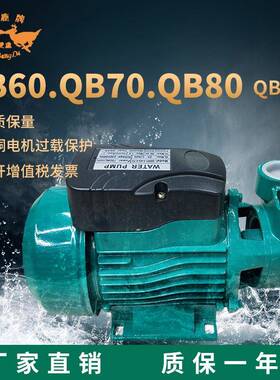 QB60110v220v铜线小型增压泵家用自吸泵大功率自吸水泵