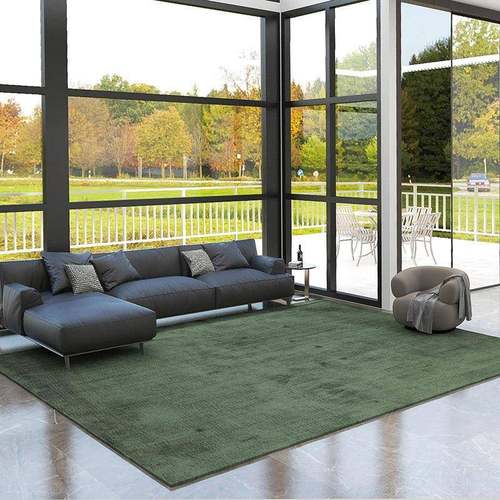 客厅地毯地垫清新茶几毯轻奢风简约现代家用北欧新中式浅灰色耐脏