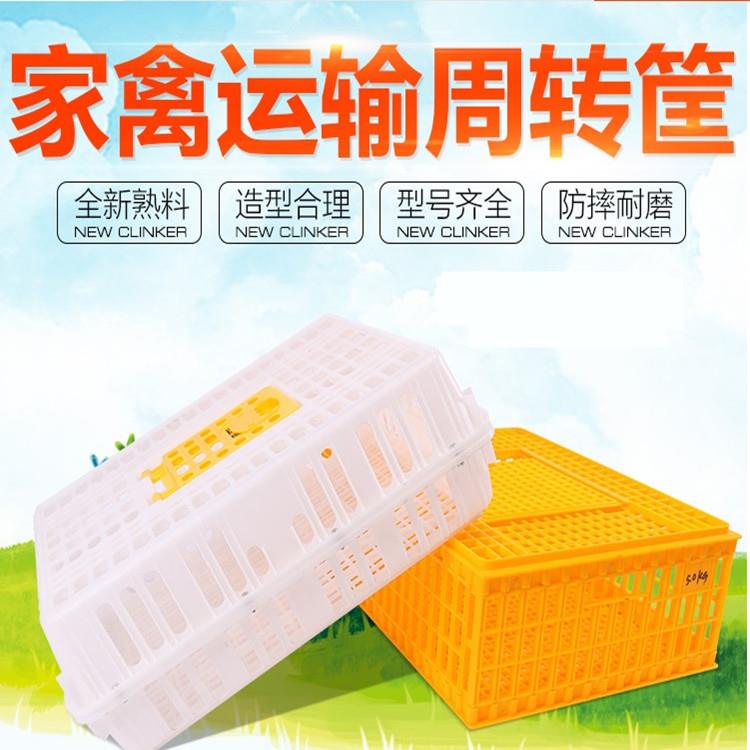 家用塑料养蛋鸡大号笼子成鸭鹅鸽子养殖场运输周转鸡筐