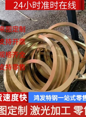 铜合金CDA625 C63000铝青铜BeCu165铍青铜BeCu165铜棒 BeCu2铜板