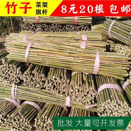 粗细小竹子园艺篱笆 菜园搭架竹杆围篱 爬藤植物支撑架