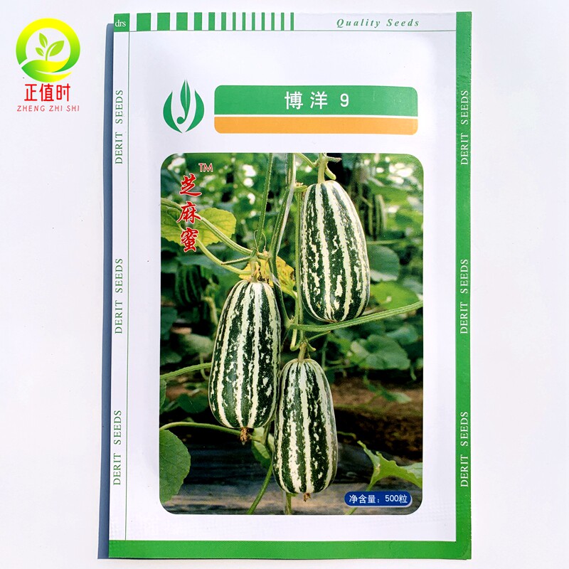 甜瓜种子正品大香瓜博洋九91号甜瓜种籽春季四季高糖早熟羊角蜜瓜