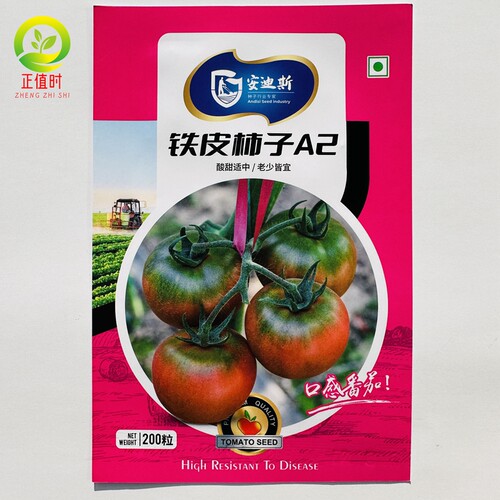 正宗铁皮柿子丹东西红柿种子