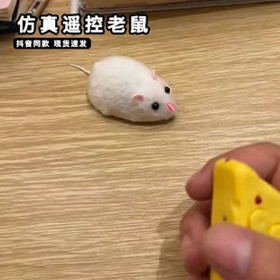 遥控仿真老鼠玩具恶作剧整人红外线电动假耗子模型桌宠整蛊神器