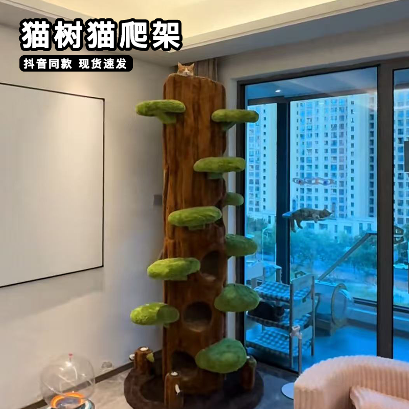 猫树猫爬架通天柱一体超大号顶天立地猫咪别墅加大底板稳固耐抓