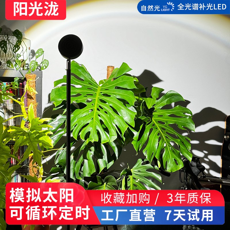 落地式室内热植物j补光灯龟背竹花烛全光谱仿太阳光家用绿植生长