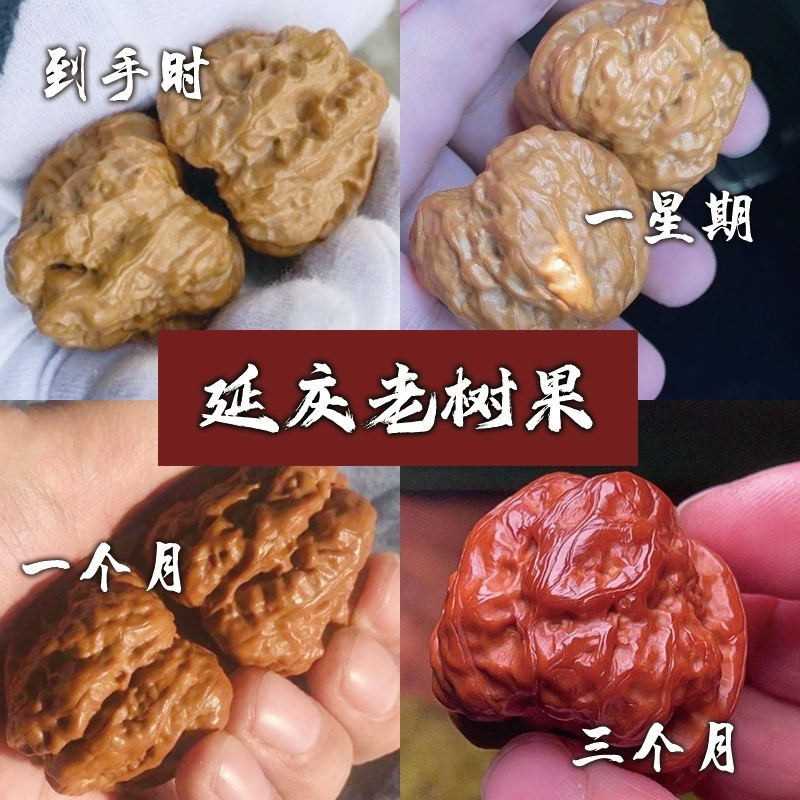 一代老树延庆蛤蟆头文玩核桃金蟾狮子头闷尖有腿有眼开背呱呱