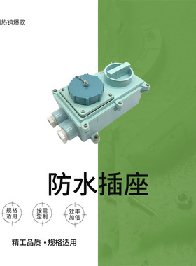 带锁开关插座IMPA 792772船用IEC标准双插座RSIL2-2防水蓝色