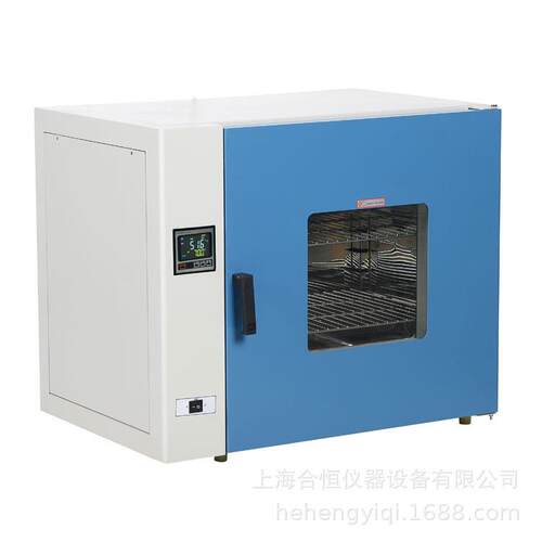 300度小型台式鼓风干燥箱电热烘箱DHG-9205A
