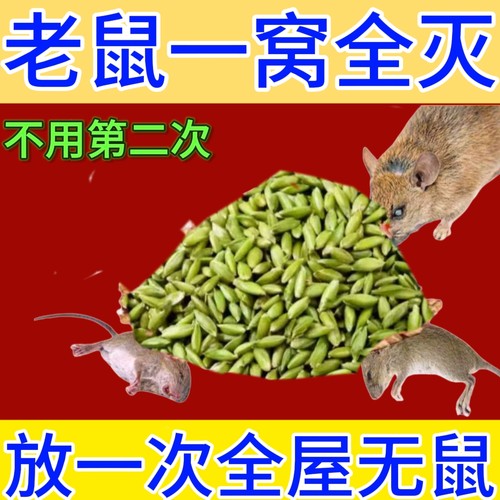 老鼠药老鼠家用药超力强三步室外死到杀鼠药耗子药灭鼠药饵剂颗粒