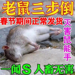 老鼠一家用药锅一闻就室外室内端强力死鼠特效驱赶老鼠神器非神药