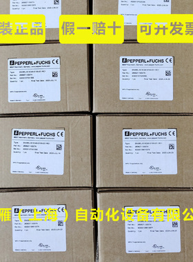 倍加福编码器ENI58IL-S10CA5-0100UD1-RC1德国P+F