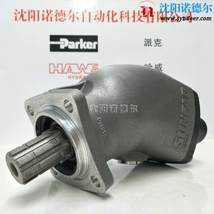 064R DL4 L35 000 HAWE哈威SAP S0S 064RVD柱塞泵SAP