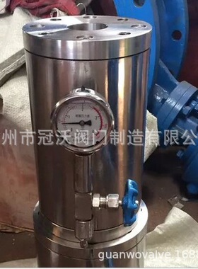 气囊式锤吸纳器 ZYA8000型 胶胆式水水锤消器除 管道水锤吸纳器