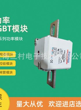 全新熔断器保险丝全新质保NDZGG50V16 J214575 NDZGG50V20Q215087