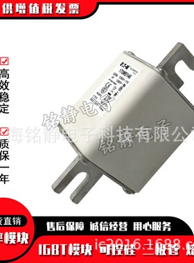 170M5008 170M5009 170M5010巴斯曼熔断器170M5011保险丝170M5012