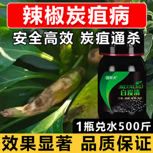 白炭清炭疽病专用辣椒专用炭疽病高效杀菌防病厂家直发正品可批发