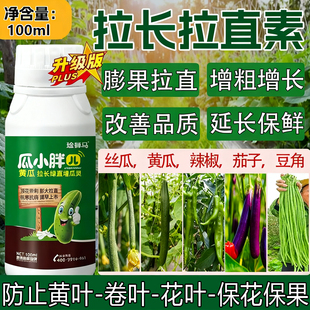 黄瓜辣椒拉直拉长素丝瓜豆角增产素防畸形苦瓜茄子豇豆拉长叶面肥