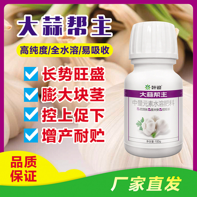 大蒜帮主全水溶肥易吸收长势旺盛膨大块茎控上促下增产耐贮叶面肥