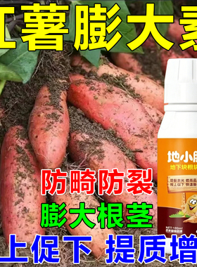 根茎膨大素地下马铃薯花生山药土豆红薯大蒜姜药材作物通用膨大剂