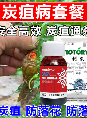炭疽病套餐刺炭破界炭疽病专用杀菌辣椒草莓葡萄专用厂家直发正品