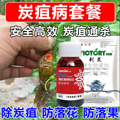 炭疽病套餐刺炭破界炭疽病专用杀菌辣椒草莓葡萄专用厂家直发正品