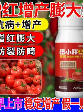 番茄增甜剂防裂专用肥膨大剂圣女果膨大素西红柿增红增甜剂防裂灵