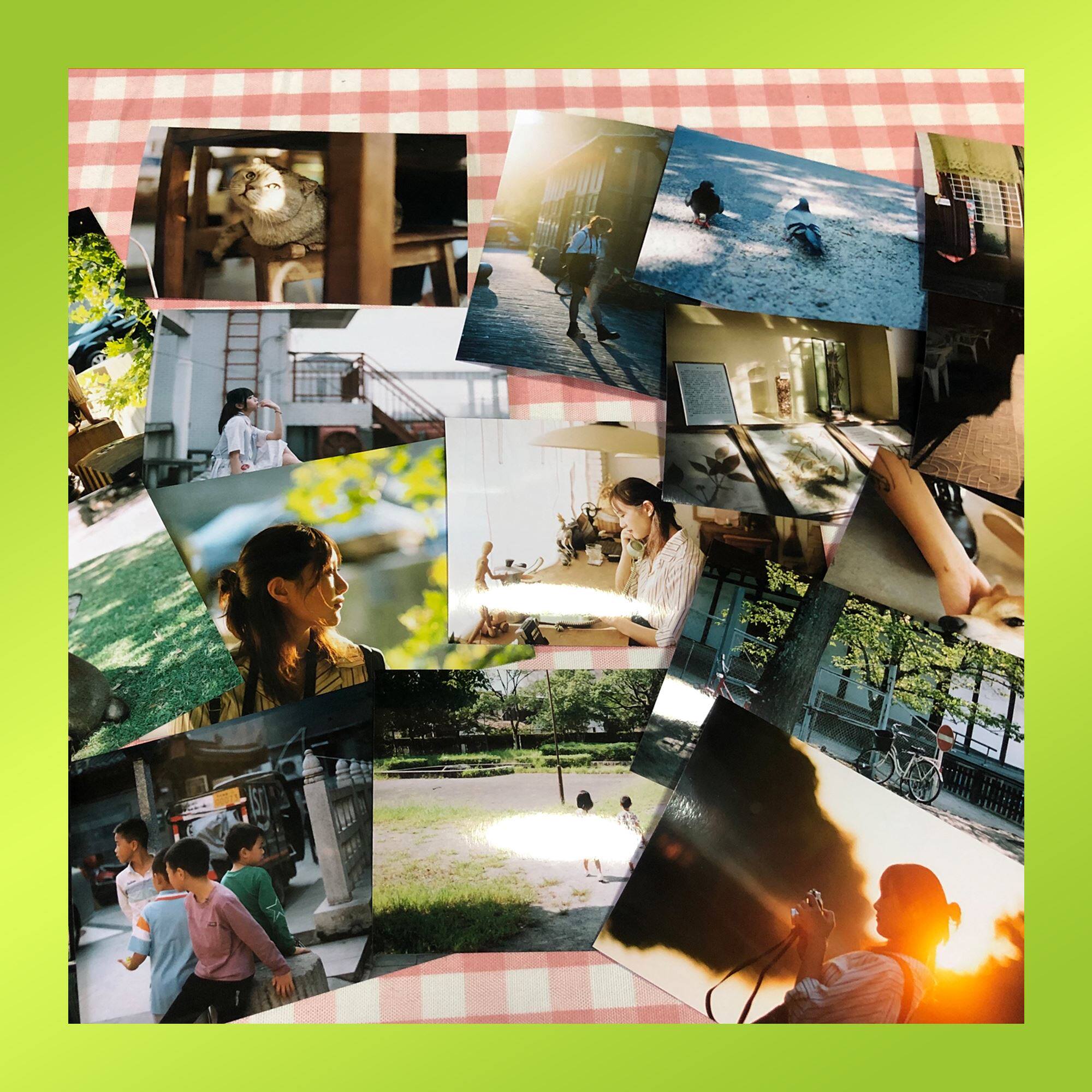 일회용 필름 카메라 디지털 카메라 일본어 일러스트 전개 흑백 컬러 필름 포인트 앤 슛 머신 컬러 흑백