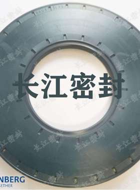 德国SIMRIT CFW BAU5SLX2 65-120-10 95-125 95-145-13骨架油封