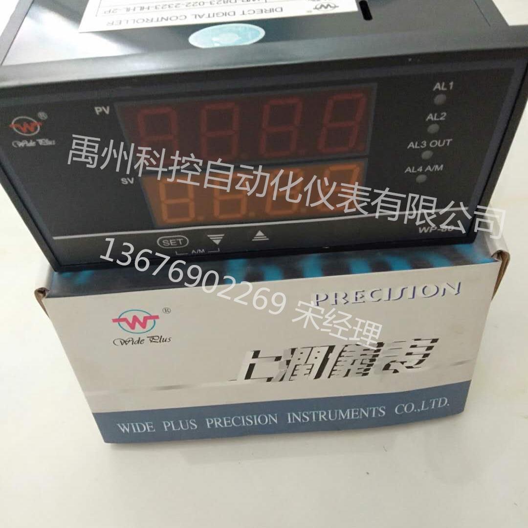WP-D835-022-12/12-A WP-D835-022-1212-HL-R-M-B数显表控制仪