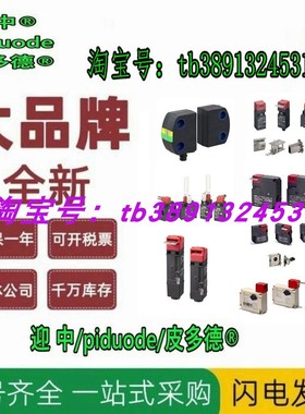 D4SL-N3QFG-D D4SL-N2HFG-D D4SL-N4AFG D4SL-N2NFG-D4安全门开关