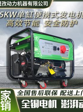 8KW汽油发电机230V单相等功率电启动家用汽油发电机组RZ9600CXE