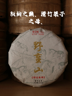 20121年 版纳之巅 滑竹梁子保塘古树生茶 200g/饼