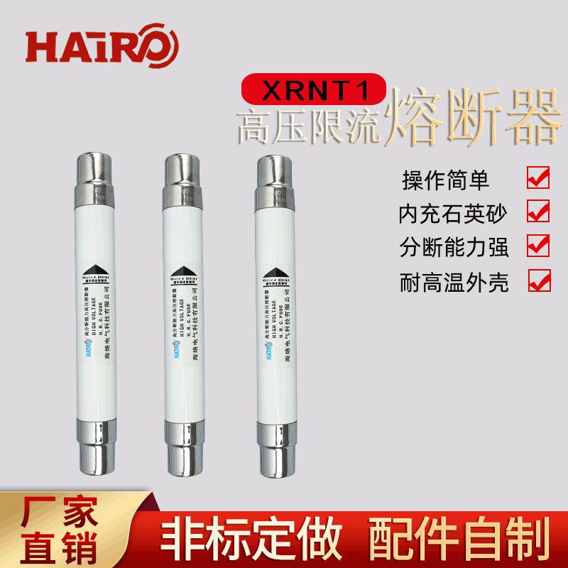 现货高压限流高分段能力熔断器XRNT-10KV户内高压柜插入式熔断管