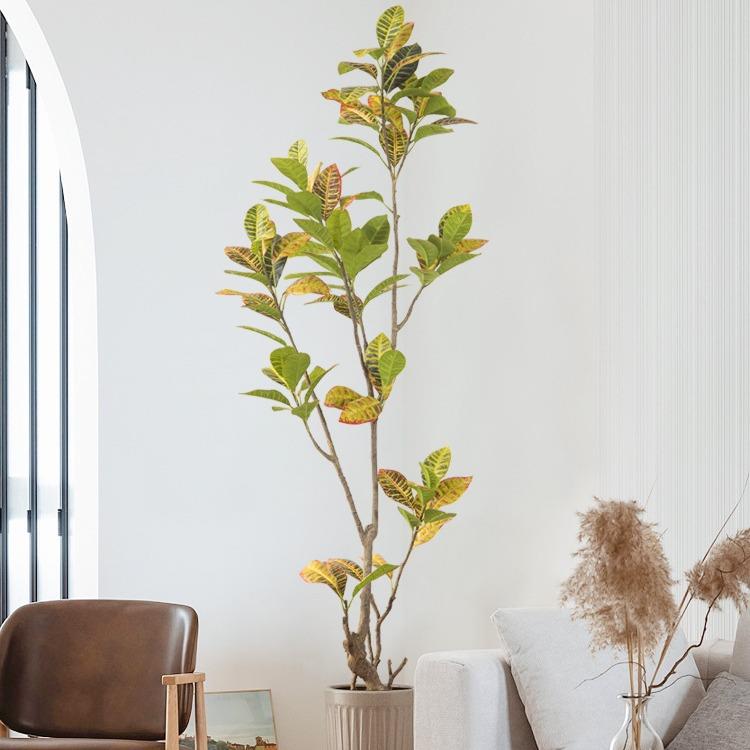 仿真绿植大型落地洒金榕绿植橡皮树假盆栽仿真植物盆景变色木摆件