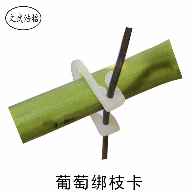 葡萄绑枝卡果树绑蔓卡猕猴桃枝蔓固定卡绿植塑料绑枝器绑枝丝卡扣