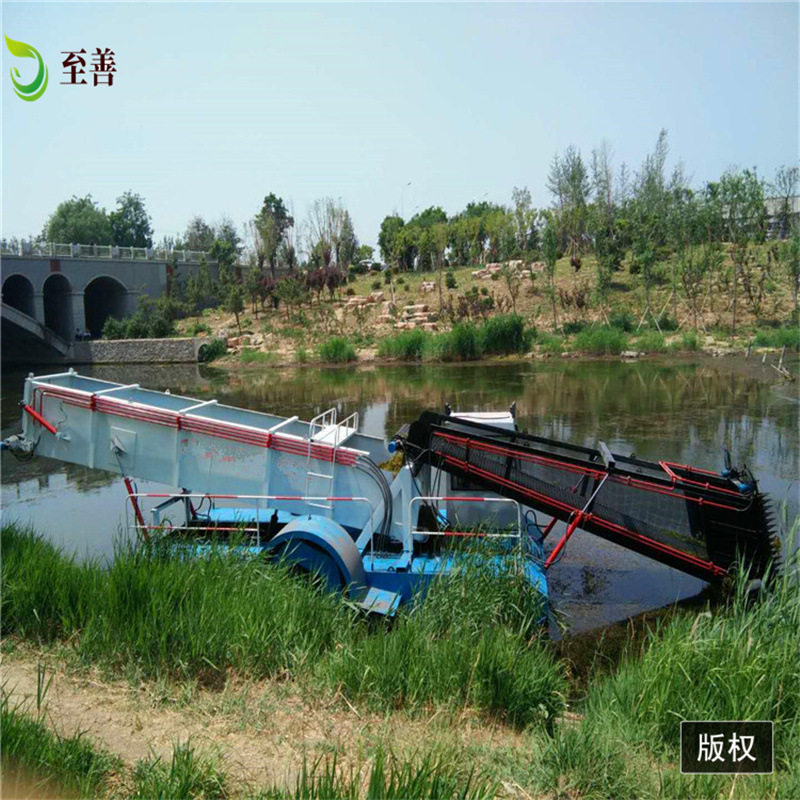 湖泊水葫芦打捞船 水花生治理收割机械 河道割草船 蓝藻打捞船,金属材料及制品,其他金属制品,淘宝优惠券,粉丝福利购,淘宝优惠卷