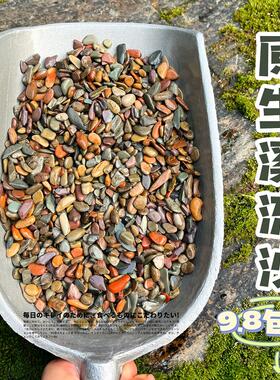 原生缸溪流沙鱼缸造景装饰铺底彩色底砂石乌龟古法缸鳑鲏虾虎河沙