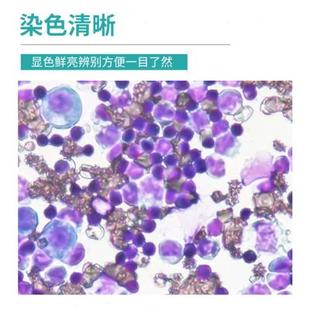 高档贝索瑞氏姬姆萨染色液瑞士吉姆萨染色剂细胞细菌染色试剂病理