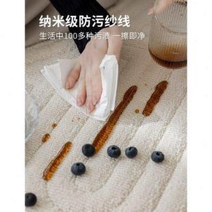 侘寂风ins风客厅毯圆形轻奢高端茶几沙发毯防水污家用卧室床边毯