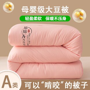 一米八乘两米被子秋冬1米8x2米床上用品被芯180x20U0大豆冬被10斤