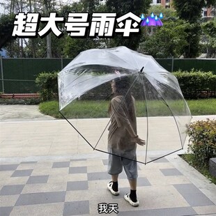 超大号雨伞透明长柄搞笑创意折叠伞三到五人抗风加固超厚暴雨专用
