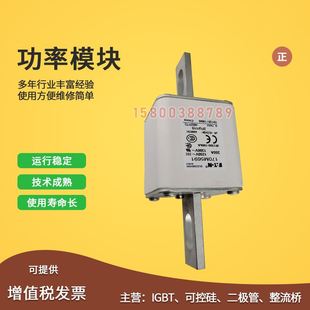 56F94 5693 5695 5696 5698 快速熔断器保险丝170M5691 5697 5692