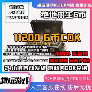 绝地求生PUBG11200G币金币CDK代充GB激活码兑换码改名卡100GB