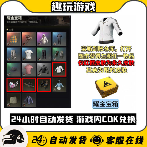 PUBG绝地求生耀金宝箱巅峰训练服白色东南亚白东皮肤宝箱CDK兑换