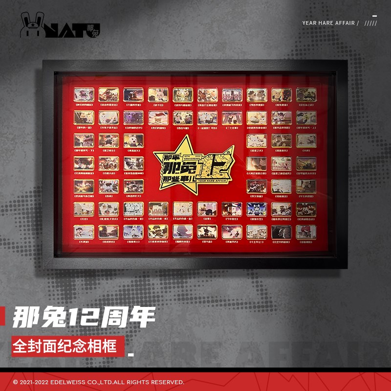 那年那兔那些事儿 12th 十二周年纪念封面纪念相框 W装饰家居 现