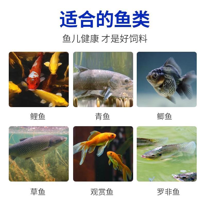 通威鱼饲料养殖专用高蛋白饲料鱼粮钓鱼锦鲤鱼食鲫鱼饲料原塘颗粒