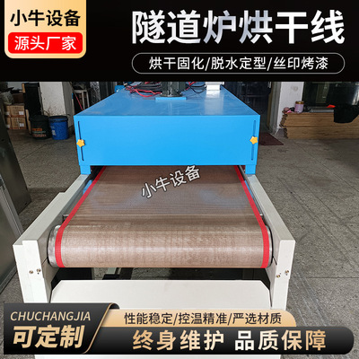 现货隧道炉烘干线 可定制各种规格烤炉输送线 电热恒温烘烤炉烤箱
